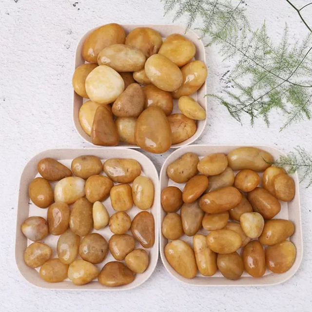 What Kind of Magical World Can River Pebbles Create in Aquariums?