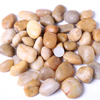 Pebble