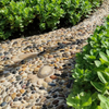 Pebble